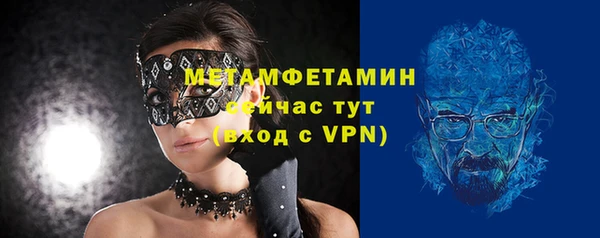прущие грибы Наволоки