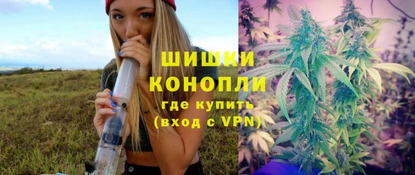 крисы Мегион