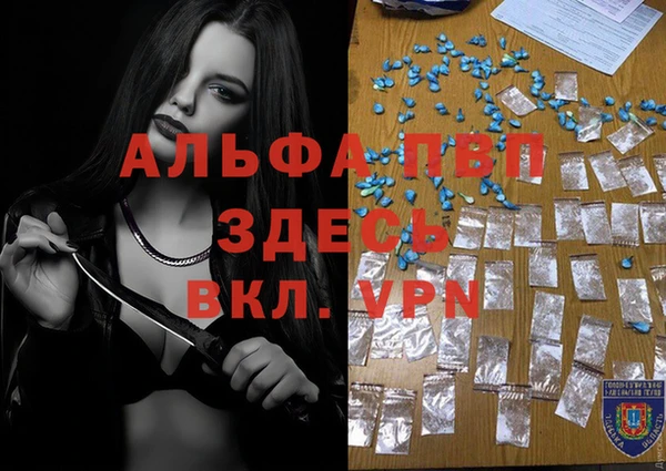 прущие грибы Наволоки